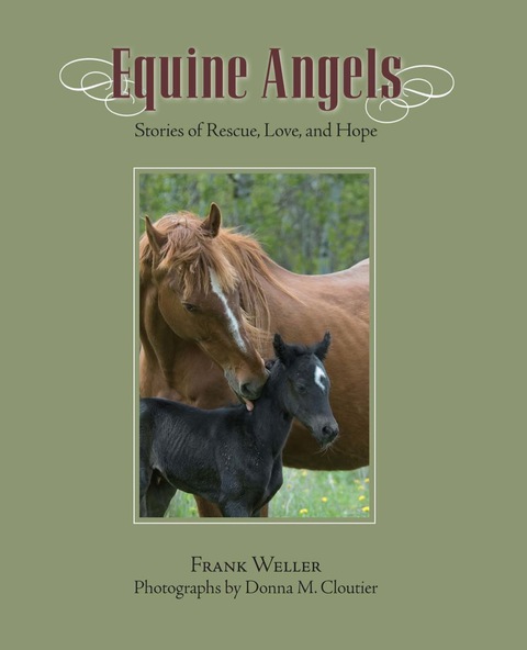 Equine Angels: Stories Of Rescue, Love, And Hope - FULL INSTANT DOWNLOAD | PDF DOCX EPUB