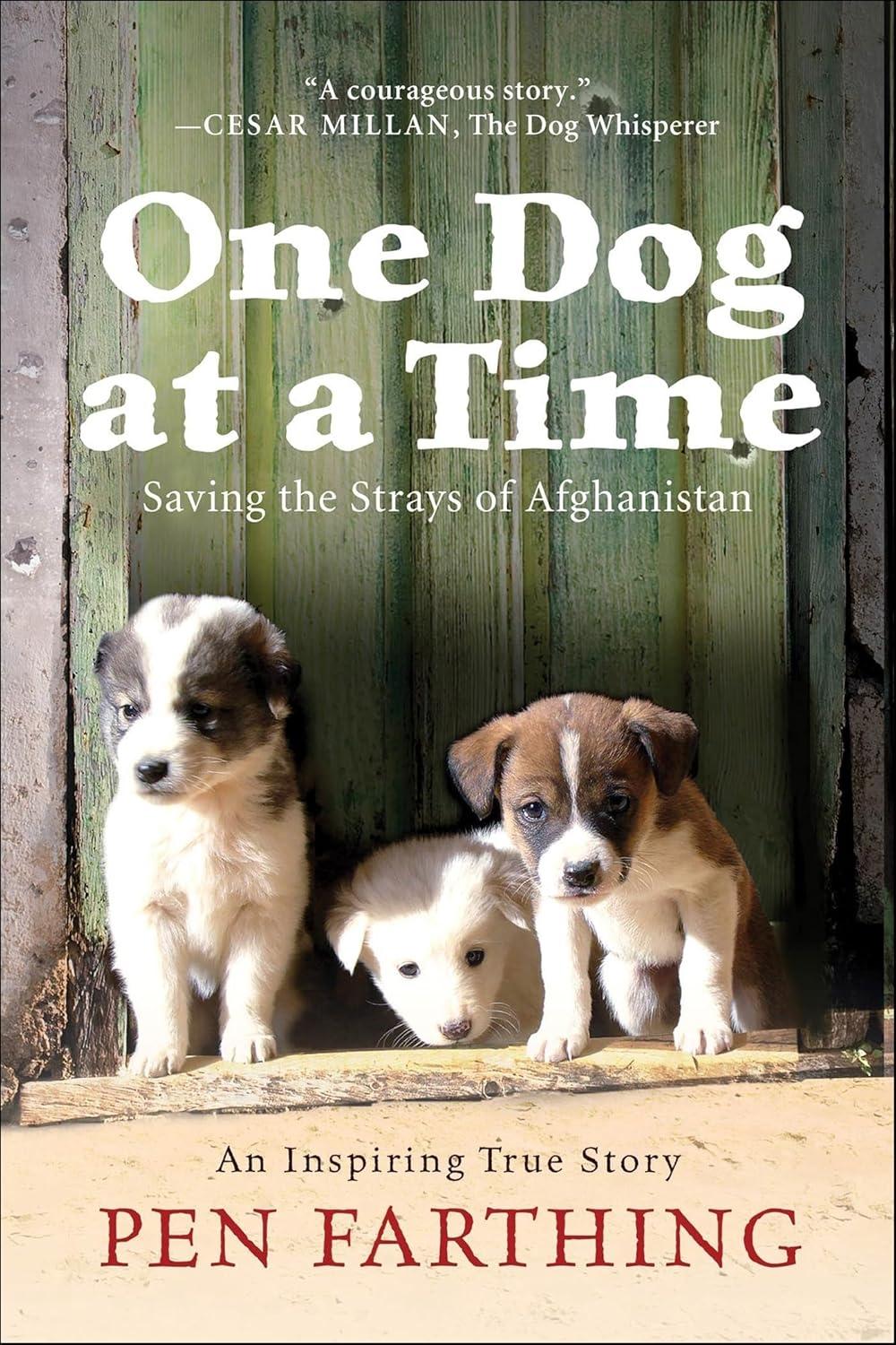One Dog at a Time: Saving the Strays of Afghanistan - FULL INSTANT DOWNLOAD | PDF DOCX EPUB