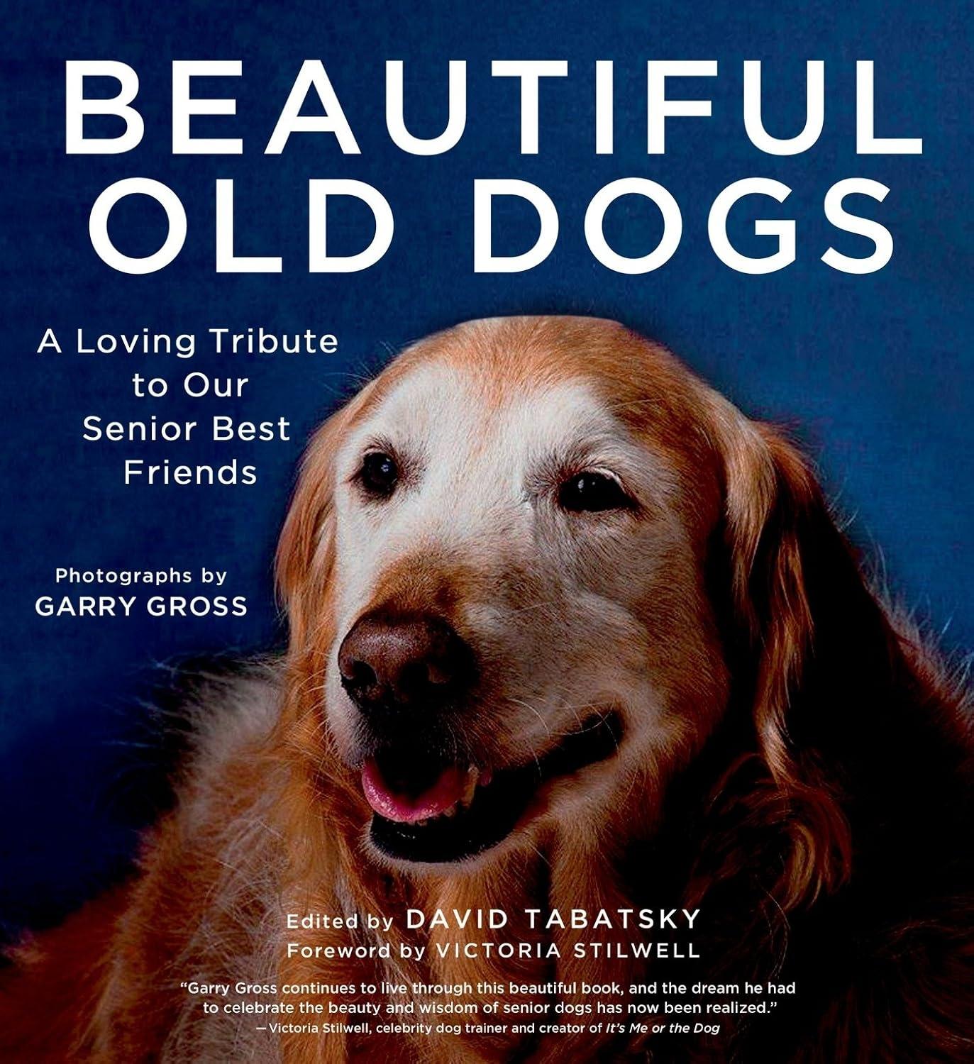 Beautiful Old Dogs: A Loving Tribute to Our Senior Best Friends - FULL INSTANT DOWNLOAD | PDF DOCX EPUB