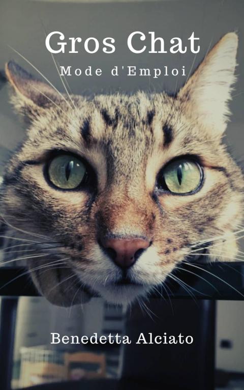 Gros chat : mode d'emploi - FULL INSTANT DOWNLOAD | PDF DOCX EPUB