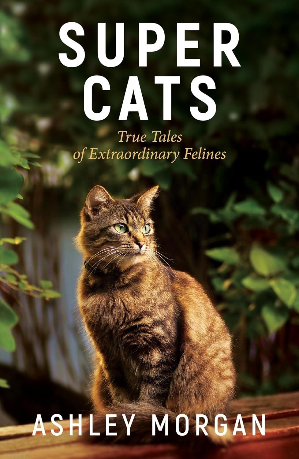 Super Cats: Inspirational True Stories of Real-Life Cat Heroes That Will Melt Your Heart - FULL INSTANT DOWNLOAD | PDF DOCX EPUB