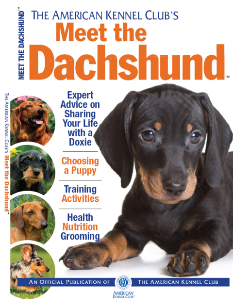 Meet the Dachshund - FULL INSTANT DOWNLOAD | PDF DOCX EPUB