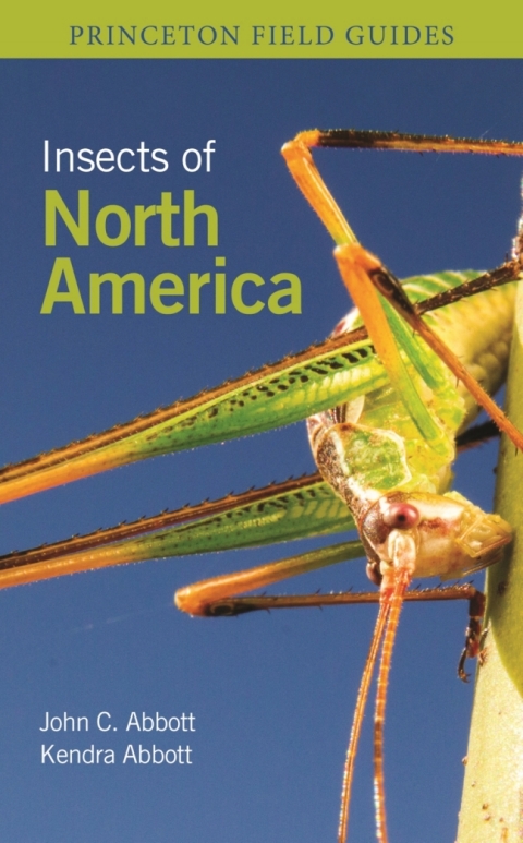 Insects of North America - FULL INSTANT DOWNLOAD | PDF DOCX EPUB