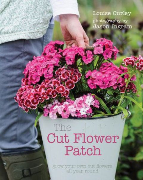 The Cut Flower Patch: Grow your own cut flowers all year round - FULL INSTANT DOWNLOAD | PDF DOCX EPUB