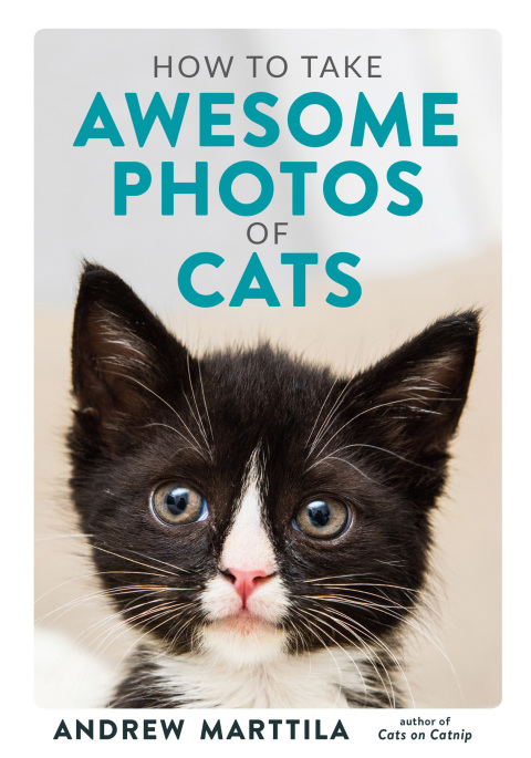How to Take Awesome Photos of Cats - FULL INSTANT DOWNLOAD | PDF DOCX EPUB