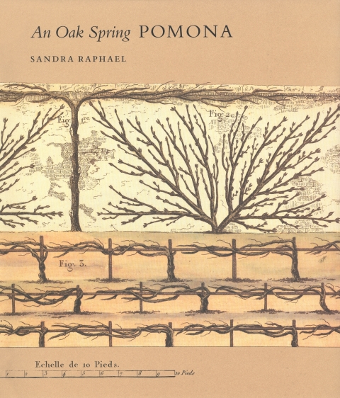 An Oak Spring Pomona: A Selection of the Rare Books on Fruit in the Oak Spring Garden Library - FULL INSTANT DOWNLOAD | PDF DOCX EPUB