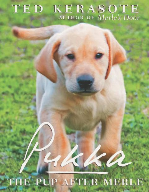 Pukka: The Pup After Merle - FULL INSTANT DOWNLOAD | PDF DOCX EPUB
