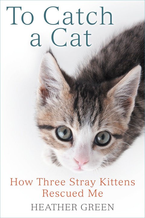 To Catch a Cat: How Three Stray Kittens Rescued Me - FULL INSTANT DOWNLOAD | PDF DOCX EPUB