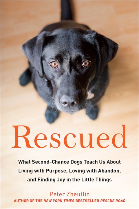 Rescued: What Second-Chance Dogs Teach Us About Living with Purpose, Loving with Abandon, and Finding Joy in the Little Things - FULL INSTANT DOWNLOAD | PDF DOCX EPUB