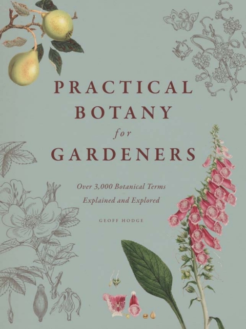 Practical Botany for Gardeners: Over 3,000 Botanical Terms Explained and Explored, 1st Edition - FULL INSTANT DOWNLOAD | PDF DOCX EPUB