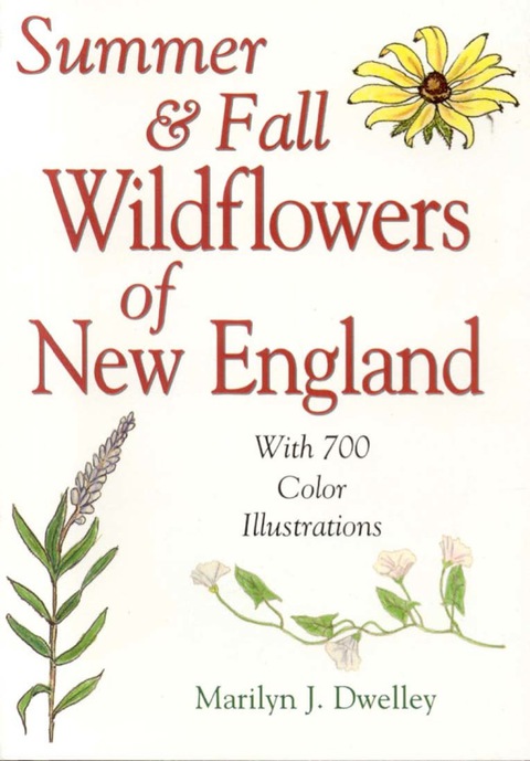 Summer & Fall Wildflowers of New England - FULL INSTANT DOWNLOAD | PDF DOCX EPUB