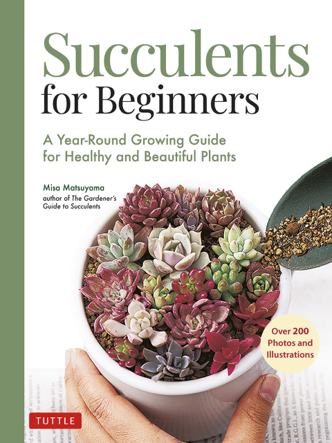 Succulents for Beginners: A Year-Round Growing Guide for Healthy and Beautiful Plants (over 200 Photos and Illustrations) - FULL INSTANT DOWNLOAD | PDF DOCX EPUB