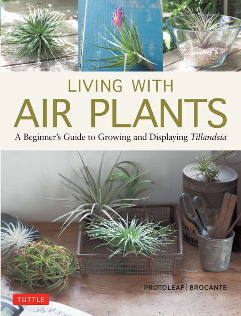 Living with Air Plants: A Beginner's Guide to Growing and Displaying Tillandsia - FULL INSTANT DOWNLOAD | PDF DOCX EPUB