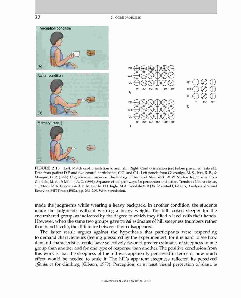 Human Motor Control, 2nd Edition – FULL INSTANT DOWNLOAD | PDF DOCX EPUB – MediDownload