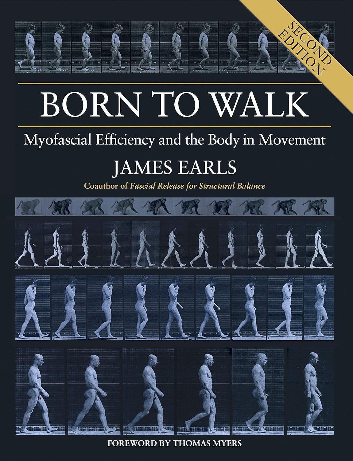 Born to Walk, Second Edition: Myofascial Efficiency and the Body in Movement - FULL INSTANT DOWNLOAD | PDF DOCX EPUB
