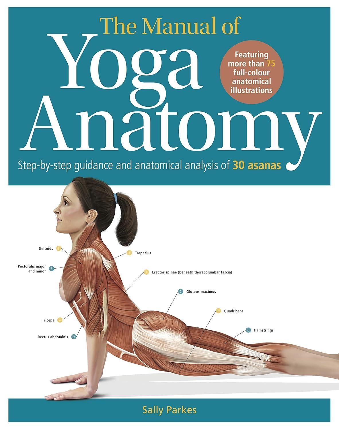 The Student's Manual of Yoga Anatomy: 30 Essential Poses Analyzed, Explained, and Illustrated - FULL INSTANT DOWNLOAD | PDF DOCX EPUB