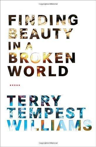 Finding Beauty in a Broken World - FULL INSTANT DOWNLOAD | PDF DOCX EPUB