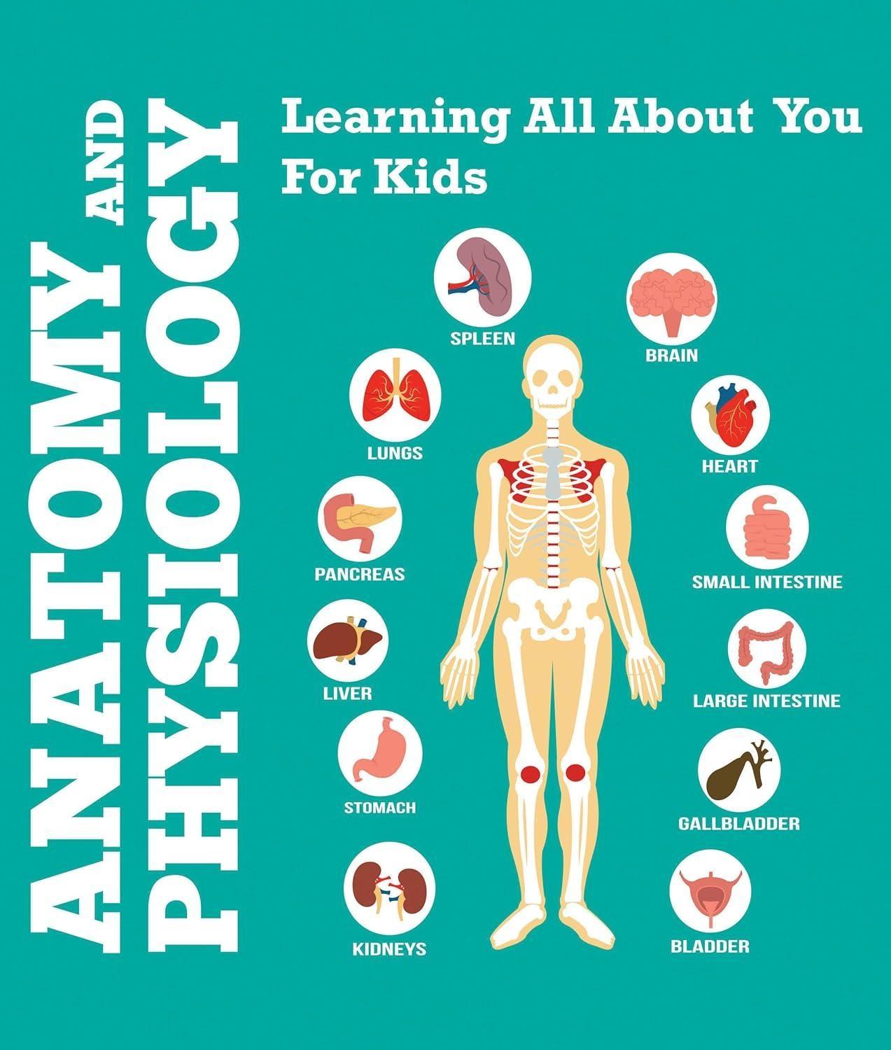 Anatomy And Physiology: Learning All About You For Kids: Human Body Encyclopedia - FULL INSTANT DOWNLOAD | PDF DOCX EPUB