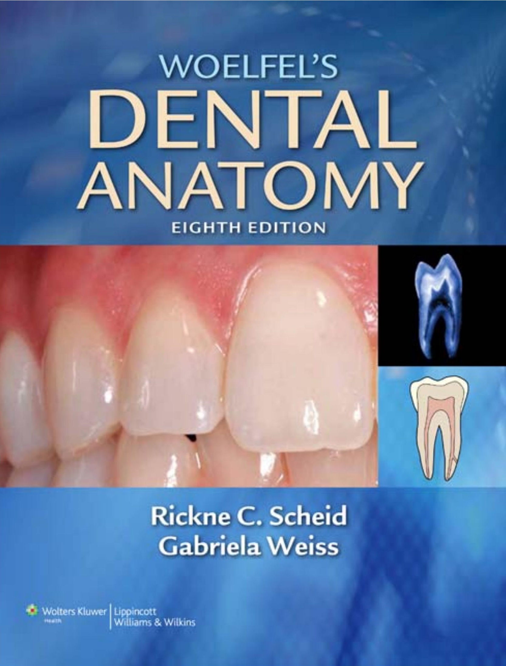 Woelfel's Dental Anatomy - FULL INSTANT DOWNLOAD | PDF DOCX EPUB