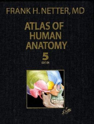Atlas of Human Anatomy, Professional Edition (5th edition) (Netter Basic Science) - FULL INSTANT DOWNLOAD | PDF DOCX EPUB