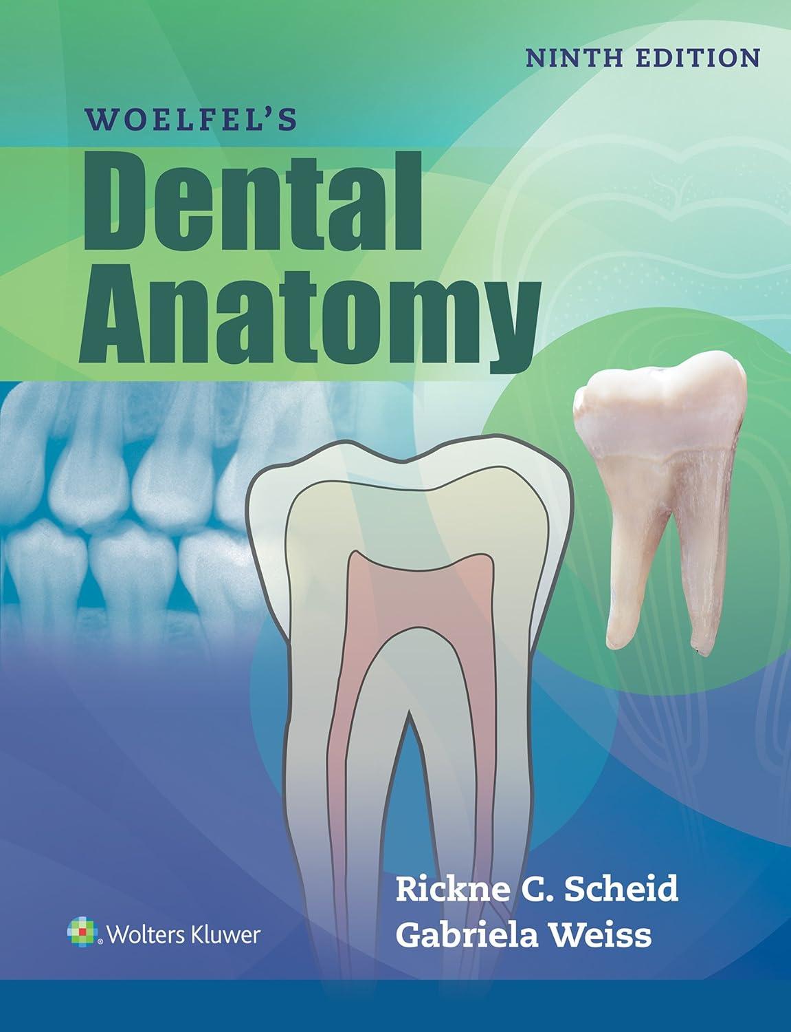 Woelfels Dental Anatomy - FULL INSTANT DOWNLOAD | PDF DOCX EPUB
