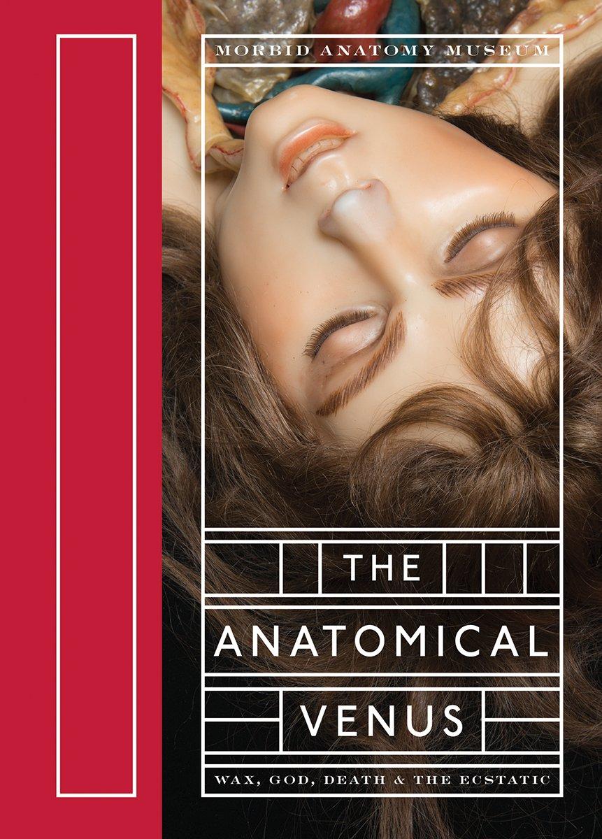 The Anatomical Venus: Wax, God, Death & the Ecstatic - FULL INSTANT DOWNLOAD | PDF DOCX EPUB