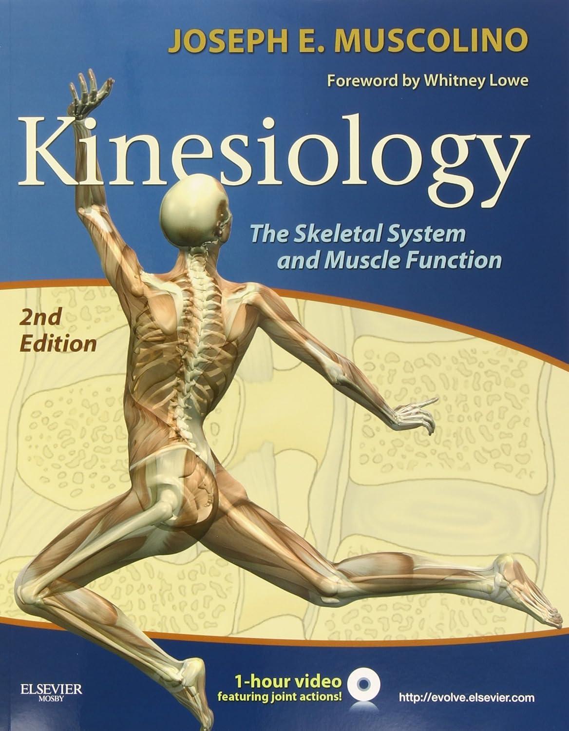 Kinesiology: The Skeletal System and Muscle Function - FULL INSTANT DOWNLOAD | PDF DOCX EPUB